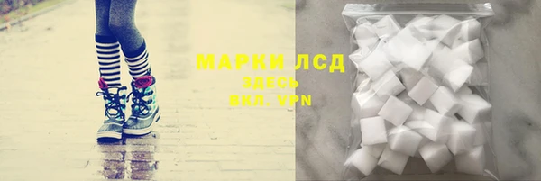 прущие грибы Алексеевка