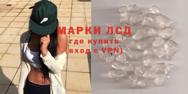прущие грибы Алексеевка