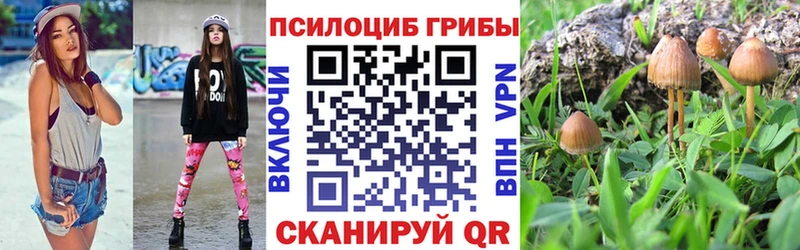 гидра вход  Аша  Псилоцибиновые грибы прущие грибы 